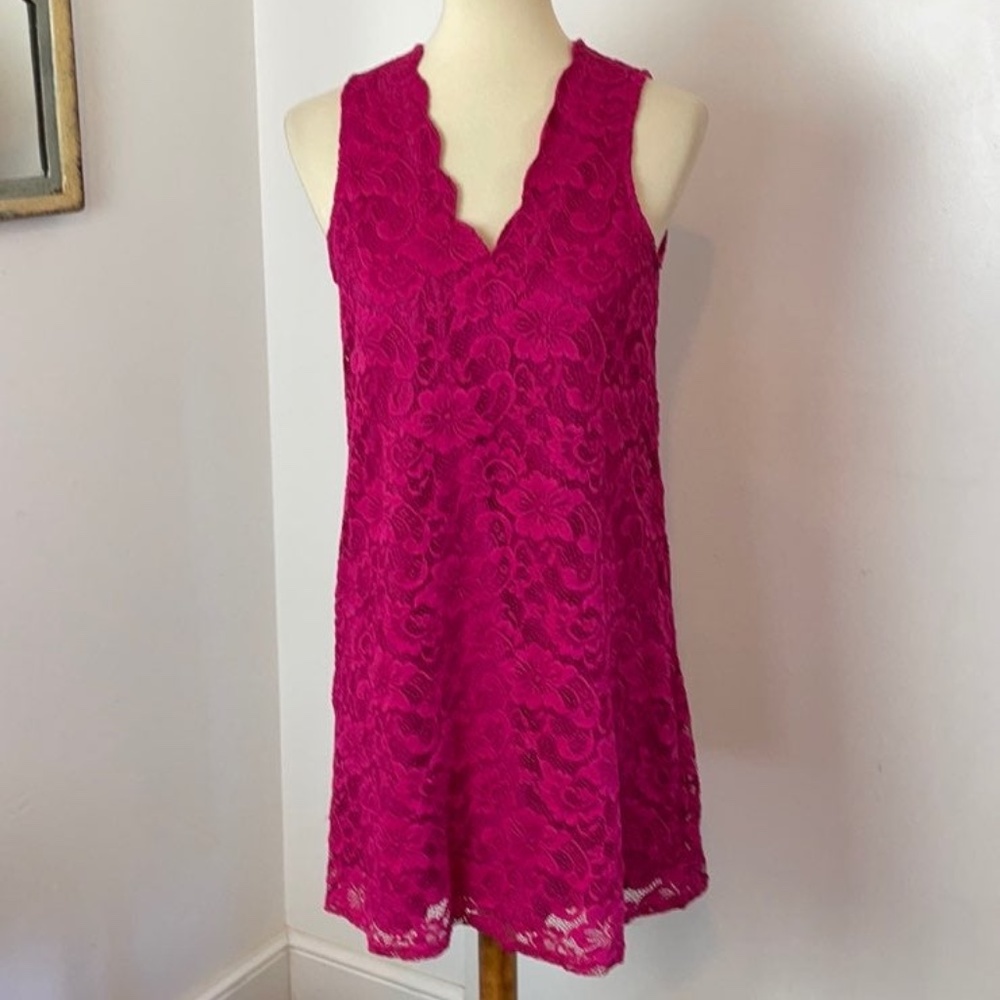 NWT Francesca's Fuschia Lace Mini Drhiess